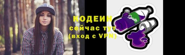ECSTASY Богородск