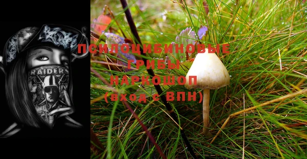 мескалин Бугульма